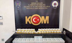 Kaçak ilaç ve serum operasyonu: 2,5 milyon liralık tıbbi ürün ele geçirildi