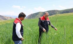 Kars'ta fenolojik gözlem çalışmaları sürüyor