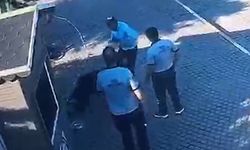 Köpeğe ve güvenlik personeline saldıran şüpheli tutuklandı