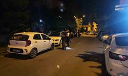 Parkta silahlı saldırı: 3'ü ağır 5 yaralı