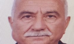 Tarlaya yıldırım düştü: 1 yaralı