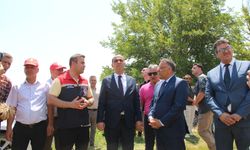 IĞDIR’DA REKOR BUĞDAY HASATI: DEKARA 1070 KİLOGRAM VERİM ALINDI!