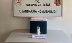 5 milyon dolarlık akrep zehri yakalandı
