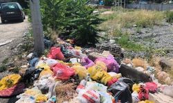 IĞDIR’DA ÇEVRE KİRLİLİĞİ ALARMI: OKUL ARKASINDAKİ SOKAK ÇÖPLÜĞE DÖNDÜ!