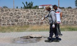 Iğdır Belediyesi’nden Kent Genelinde Kapsamlı İlaçlama Seferberliği
