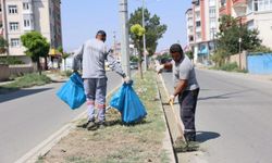 IĞDIR BELEDİYESİ PARK VE BAHÇELER EKİPLERİNDEN ÇALIŞMA