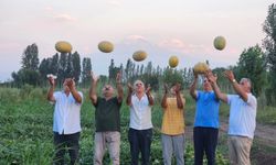 IĞDIR OBA KÖYÜNDE YERLİ KAVUN HASADI DEVAM EDİYOR