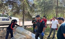 İl Özel İdaresinde Personele "AFAD Çadır Kurulumu Eğitimi" Verildi