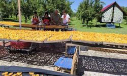IĞDIR’DA KADIN EMEĞİ KAYISIYA DEĞER KATARAK EKONOMİYE CAN VERİYOR