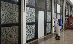 Bilecik Belediyesi'nden çekirgelere karşı erken önlem