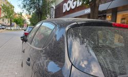 IĞDIR’DA HAVA KİRLİLİĞİ VE TOZ BULUTU ETKİSİ: YAĞMUR DEĞİL, ÇAMUR YAĞDI!