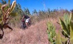 Çaldıkları motosikleti kargıların arasına sakladılar, jandarmadan kaçamadılar
