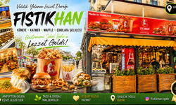 Yeşil Iğdır Reklam, Iğdır’ı Renklendiriyor