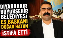 Diyarbakır Büyükşehir Belediye eşbaşkanı Doğan Hatun, görevinden istifa etti.