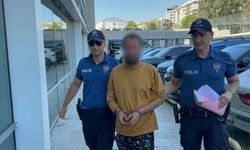 Kediye tekme atarken kameraya yansıyan şahıs yakalandı