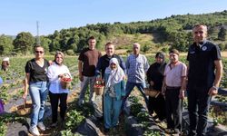 Vali Sözer, huzurevi sakinleriyle çilek hasadı yaptı