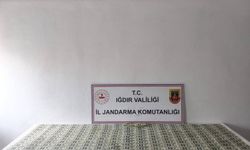 Jandarma’dan Sahte Dolar Operasyonu