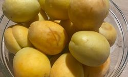 Kayısı Afetine Yardım Geliyor