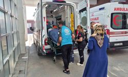 Ağaçtan düşen kişi yaralandı