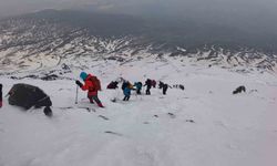 Çevre gönüllüleri Ağrı Dağı'nın zirvesinden doğa için seslendi
