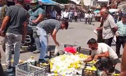 Sebzeler Yerlere Saçıldı