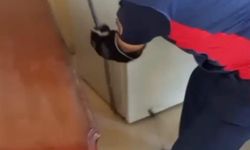 Hatay'da yerleşim yerlerine giren yılanlar yakalandı