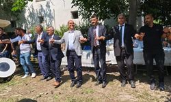 Vali Taşolar Halay Çekti