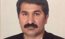 Boksun Efsane İsmi Ağacan Tabaru Yaşamını Yitirdi