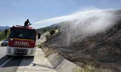 Kastamonu'da çıkan örtü yangınları büyümeden söndürüldü
