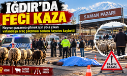 Iğdır’da Sabah Saatlerinde Feci Kaza: Hayvan Pazarına Giden Vatandaş Hayatını Kaybetti