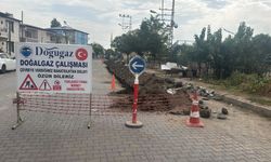 Karakoyunlu’da Doğal Gaz Hat Çekimi Başladı