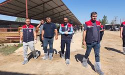 İL TARIM VE ORMAN MÜDÜRÜ TİNGİŞ AŞILAMA ÇALIŞMALARINI DENETLEDİ
