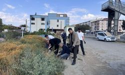 Benim Şehrim, Benim Evim Projesi Kapsamında Iğdır’da  Temizlik Seferberliği Başladı