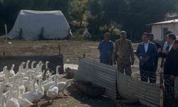 Akyaka'da kaz yetiştiriciliğine yakın takip