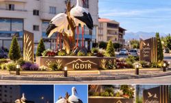 Iğdır Şehir Girişindeki Leylekler İçin Işıklandırma Talebi Artıyor