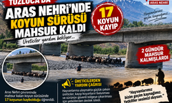 Aras Nehri’nde 17 Koyun Kayıp