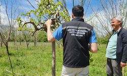 Çiftçilere sahada teknik destek