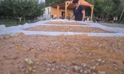Ayyıldız Kooperatifi Iğdır’ın Toprağına Sahip Çıkıyor