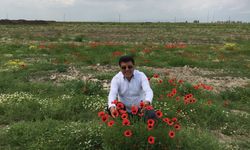 Mikail Reis Ruhun Şad Olsun