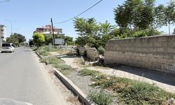 Iğdır’da Hastane Yolu Bakımsızlığa Terk Edildi: Orta Refüj ve Kaldırımlar Ottan, Çöpten Geçilmiyor