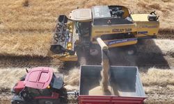 Erzincan'da baraj ve sulama suları tarlaları bereketle buluşturuyor