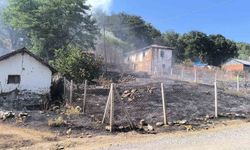 Yangınına sebebiyet veren şahıs gözaltına alındı