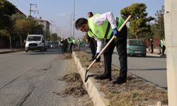 Devlet Şehri Temizliyor