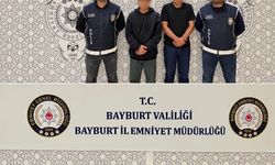 2 Düzensiz göçmen yakalandı