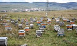 2027 Sezonu için kış hazırlıkları başladı