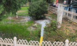 IĞDIR’DA KIŞ SEZONU ÖNCESİ PARK VE BAHÇELERDE SULAMA MESAİSİ