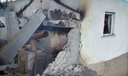 5 büyükbaş hayvan telef oldu, evin çatısı yandı