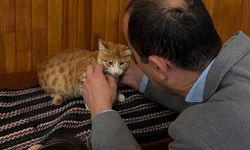 IĞDIR VALİSİ TAŞOLAR, YAREN VE BALKIZ’I TANITTI