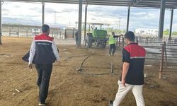 Iğdır Hayvan Pazarı’nda Dezenfeksiyon Çalışması