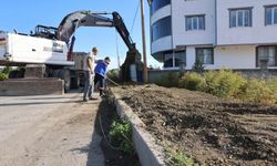 Atatürk Mahallesi Yeşil Kuşak’ta Yürüyüş Yolu Yapımı Sürüyor